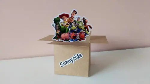 Caixa Doação (sunnyside) - Brinquedos