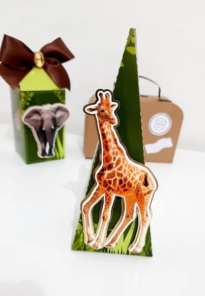 Cone Pirâmide - Safari
