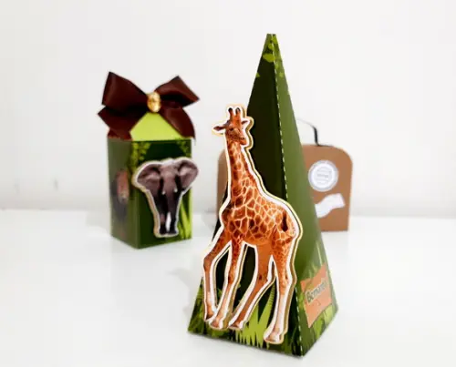 Cone Pirâmide - Safari