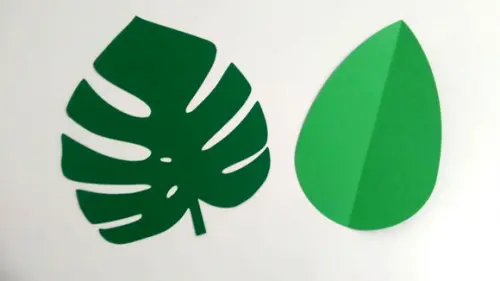 Folha de Papel - Costela de Adão