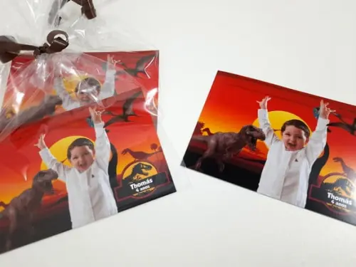 Foto com Imã - Dinossauros