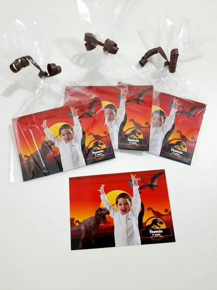 Foto com Imã - Dinossauros