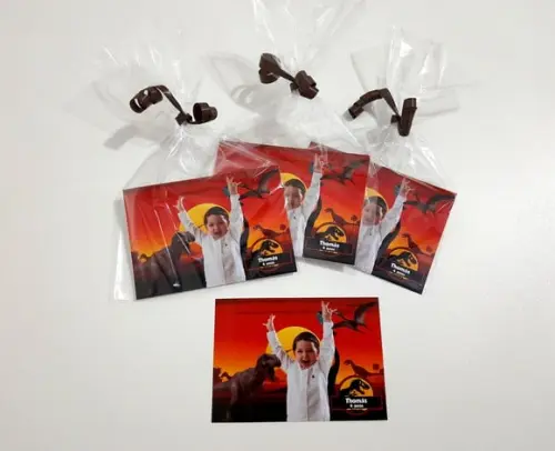 Foto com Imã - Dinossauros