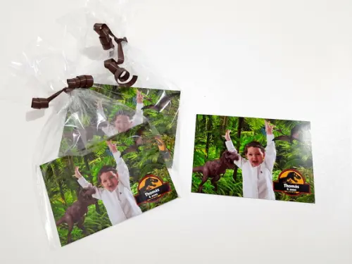 Foto com Imã - Dinossauros