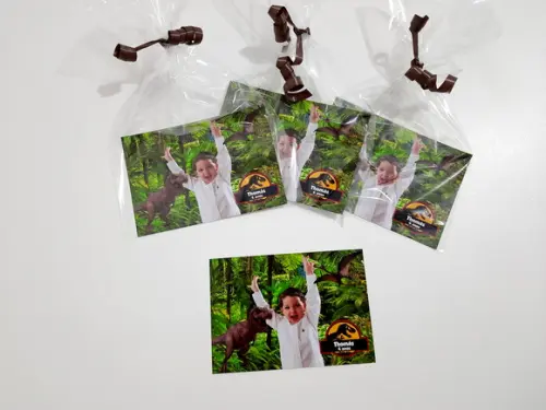 Foto com Imã - Dinossauros