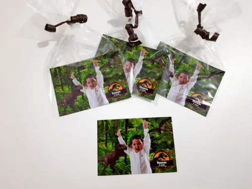 Foto com Imã - Dinossauros