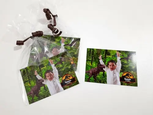 Foto com Imã - Dinossauros