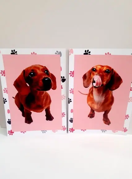 Placa Decorativa - Cachorro Salsicha