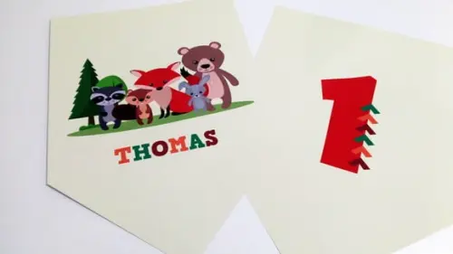 Placas Decorativas - Animais da Floresta