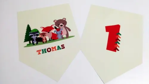 Placas Decorativas - Animais da Floresta