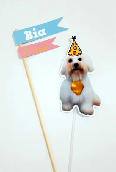 Topo de Bolo - Cachorrinhos (personalizado)