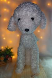 Cachorro Poodle