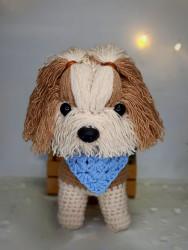 Cachorro Shi-Tzu