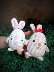 Coelho Toy