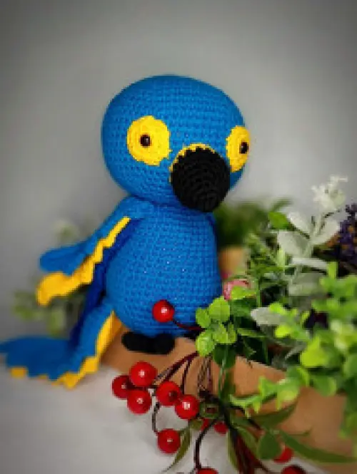 Arara Azul