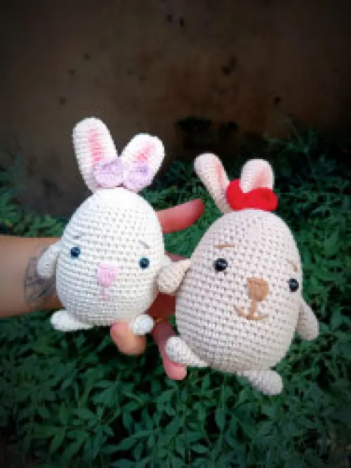 Coelho Toy