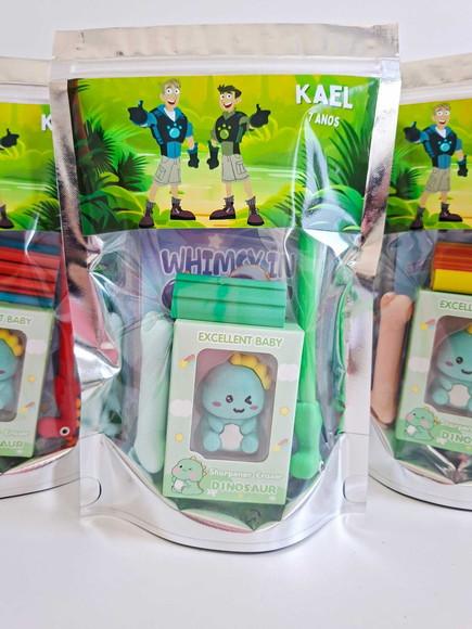 Kit Papelaria Saquinho Zip Personalizado Irmãos Kratts