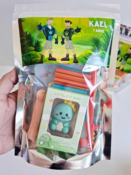 Kit Papelaria Saquinho Zip Personalizado Irmãos Kratts