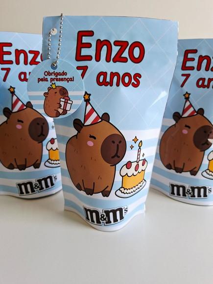 Saquinho Zip com M&ms 12x20 Capivara