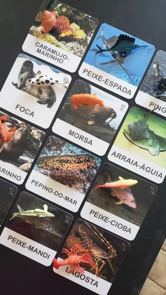 Kit 12 Flashcards Montessori Animais Marinhos