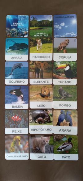 Kit 18 Flashcards Animais Ar, Terra e Água Montessori