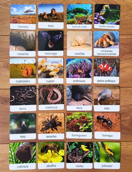 Kit 18 flashcards Animais e seus habitats
