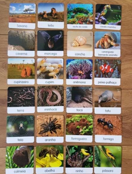 Kit 24 Flashcards Animais e Suas Moradias