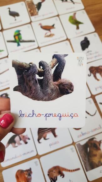 Kit 24 Flashcards Montessori Animais Mata Atlântica F/v
