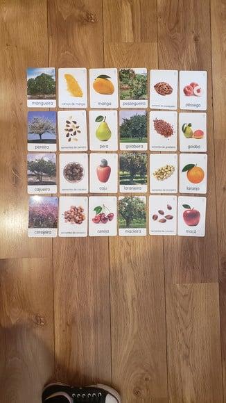 Kit 24 Flashcards Montessori Árvores Frutíferas Brasileiras