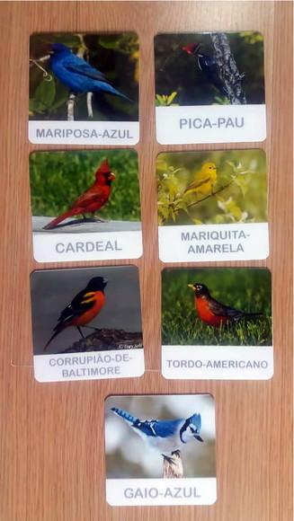 Kit 7 flashcards Aves do Jardim miniaturas Safari Ltd