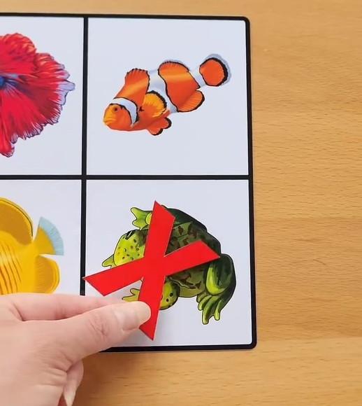 PDF Atividade Pedagógica Jogo Pertence x Não Pertence