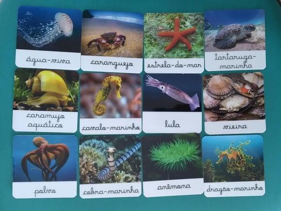 PDF 12 Flashcards Animais Marinhos Montessori