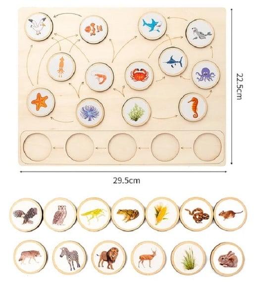 Bandeja de Atividades Cadeia Alimentar Invertebrados