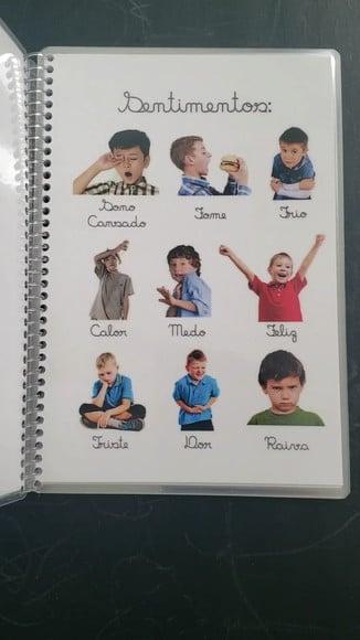 Caderno de Comunicação Alternativa para Tea/autismo Pecs