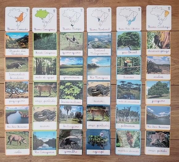 Combo 12 Kits de Flashcards em PDF Geografia Brasil + Mapa Regiõ