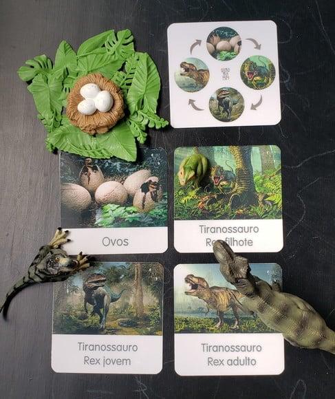 Combo 5 Kits em PDF Flashcards Montessori Dinossauros - Arquivo d