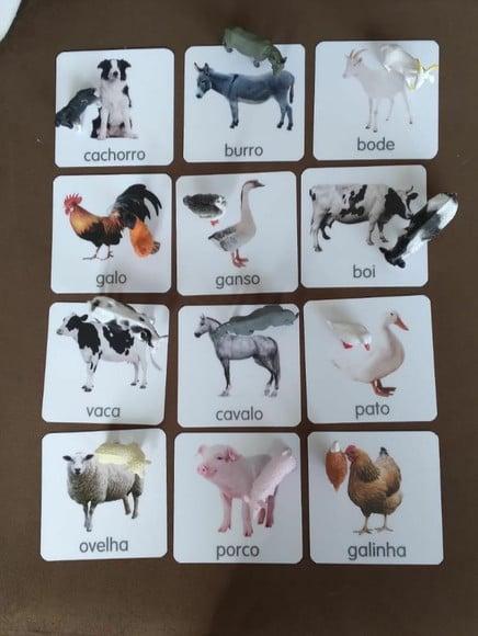 Kit 12 Flashcards Animais da Fazenda Atividades Montessori