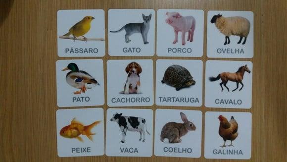 Kit 12 flashcards Animais Domésticos atividades montessori