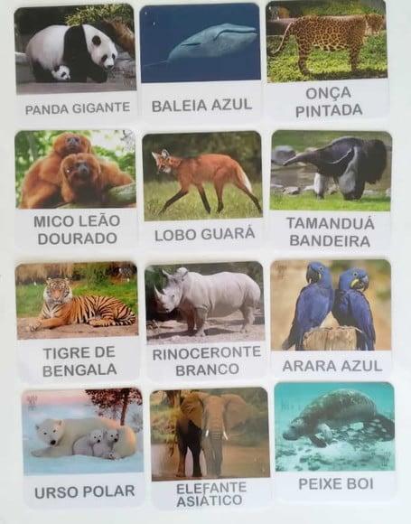 Kit 12 flashcards animais em extinção atividades montessori