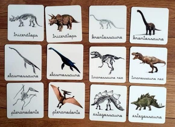 Kit 12 flashcards Dinossauros e seus esqueletos