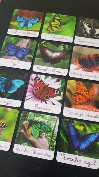 Kit 12 Flashcards Montessori Borboletas