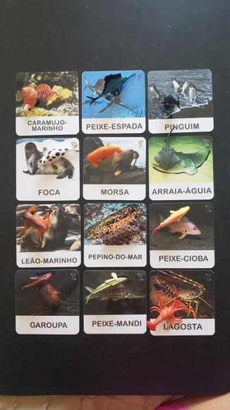 Kit 12 Flashcards Montessori Animais Marinhos