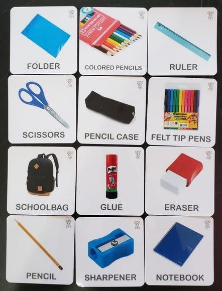 Kit 12 Flashcards Partes do Corpo Humano
