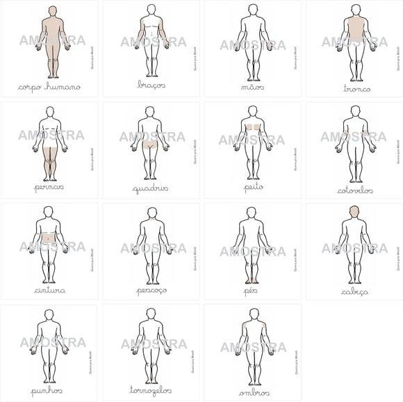 PDF 17 Flashcards Partes do Corpo Humano (montessori)