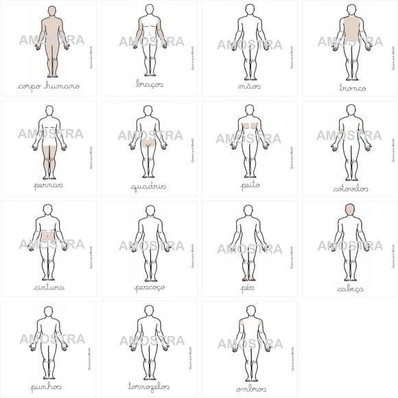 Kit 17 Flashcards Partes do Corpo Humano (montessori)