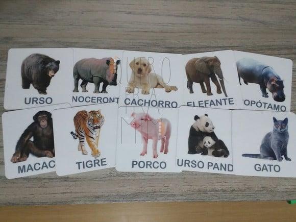 Kit 18 Flashcards Animais para Pareamento Montessori
