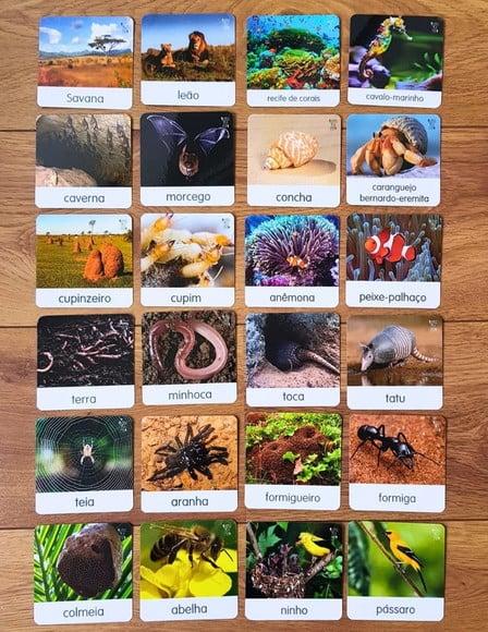 Kit 18 flashcards Animais e seus habitats