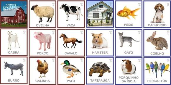 Kit 18 Flashcards Animais Domésticos de Casa e da Fazenda