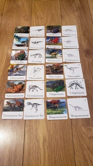 Kit 24 Flashcards Dinossauros e Seus Esqueletos