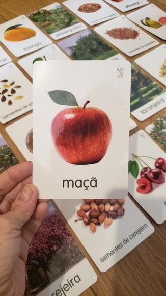 Kit 24 Flashcards Montessori Árvores Frutíferas Brasileiras